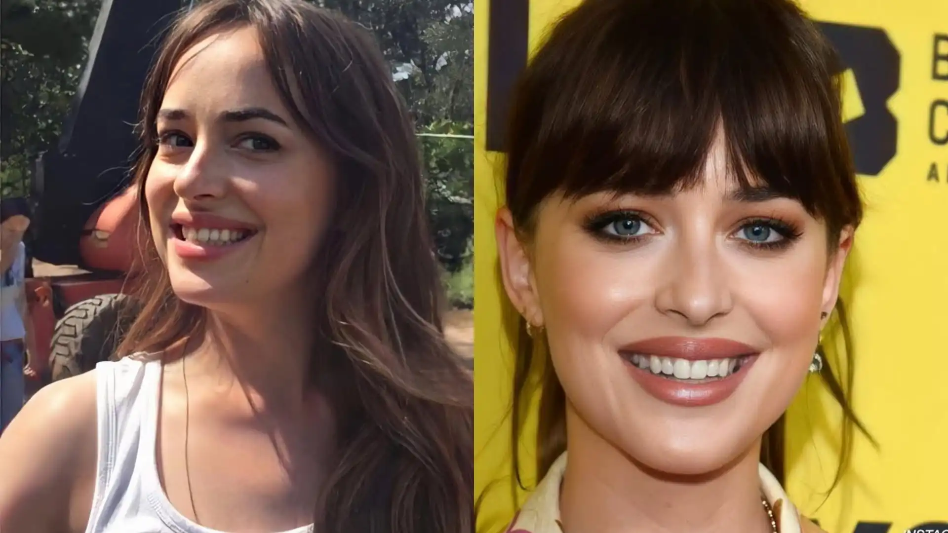 Dakota Johnson’s teeth gap before and after